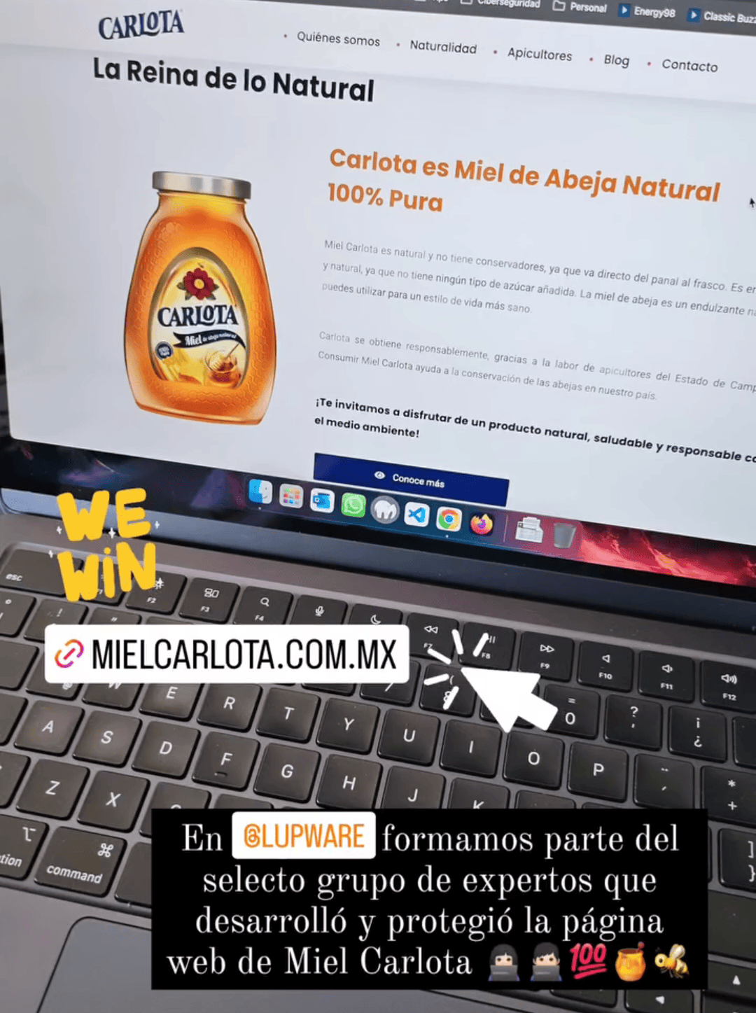 Soporte Cloud y Hosting VIP Lupware